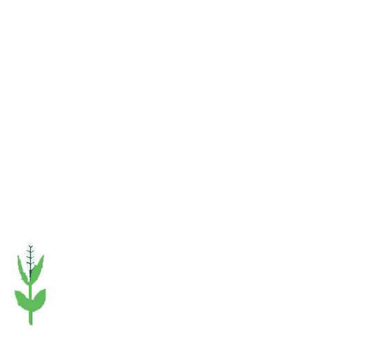 tree-4